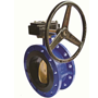 Double Flanged Type Butterfly Valve